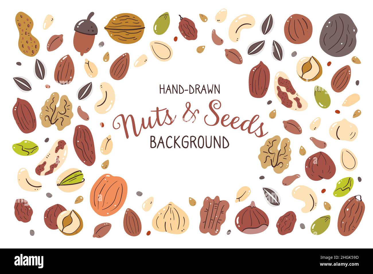 Nüsse und Samen Hintergrund. Abbildung: Zutaten für das Kochen. Isolierte, farbige, handgezeichnete Symbole auf weißem Hintergrund. Vektorgrafik. Stock Vektor