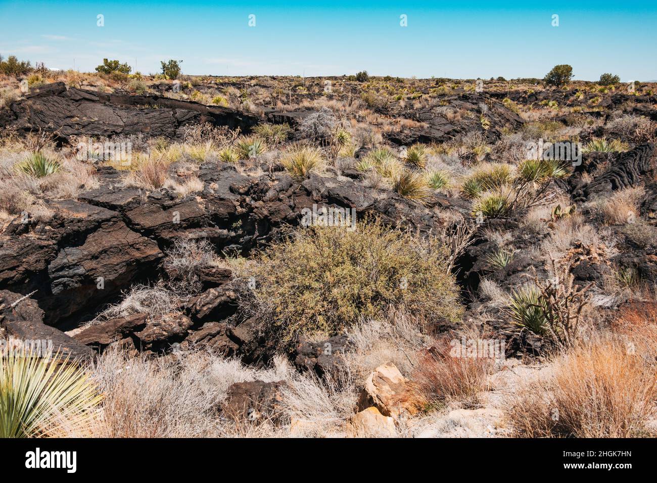 Schwarz gehärtete Lava, die vor 5.000 Jahren in das Tularosa-Becken floss und den Malpais Lava Flow in New Mexico, USA, bildete Stockfoto