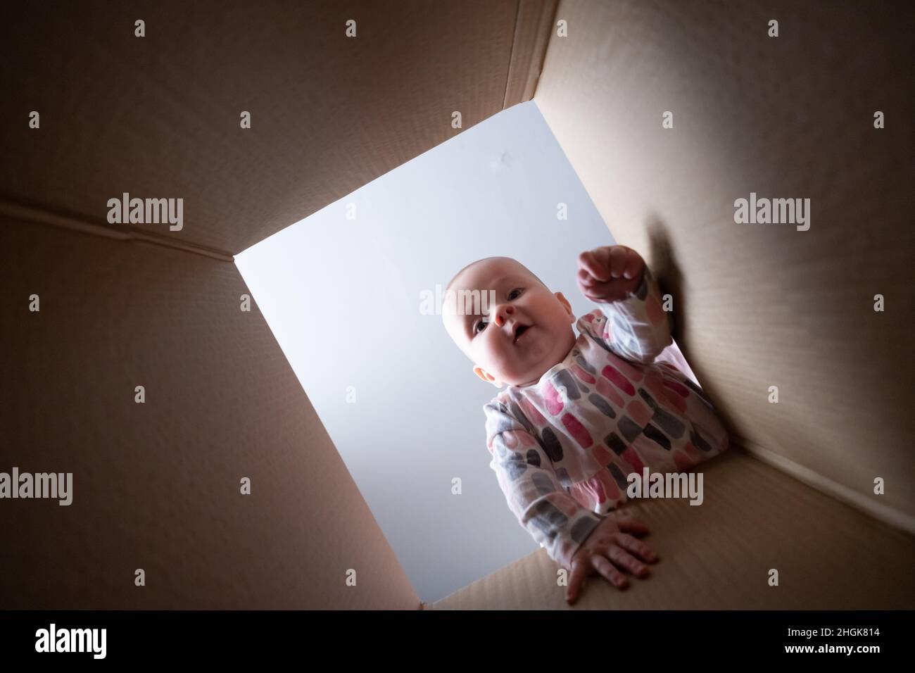 Glückliches Baby in Paketkarton und lächelnd. Stockfoto