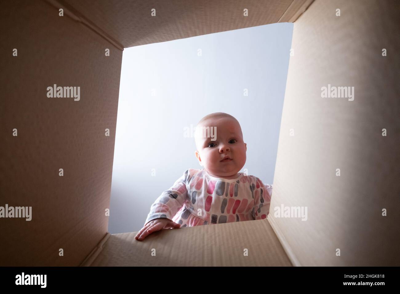 Glückliches Baby in Paketkarton und lächelnd. Stockfoto