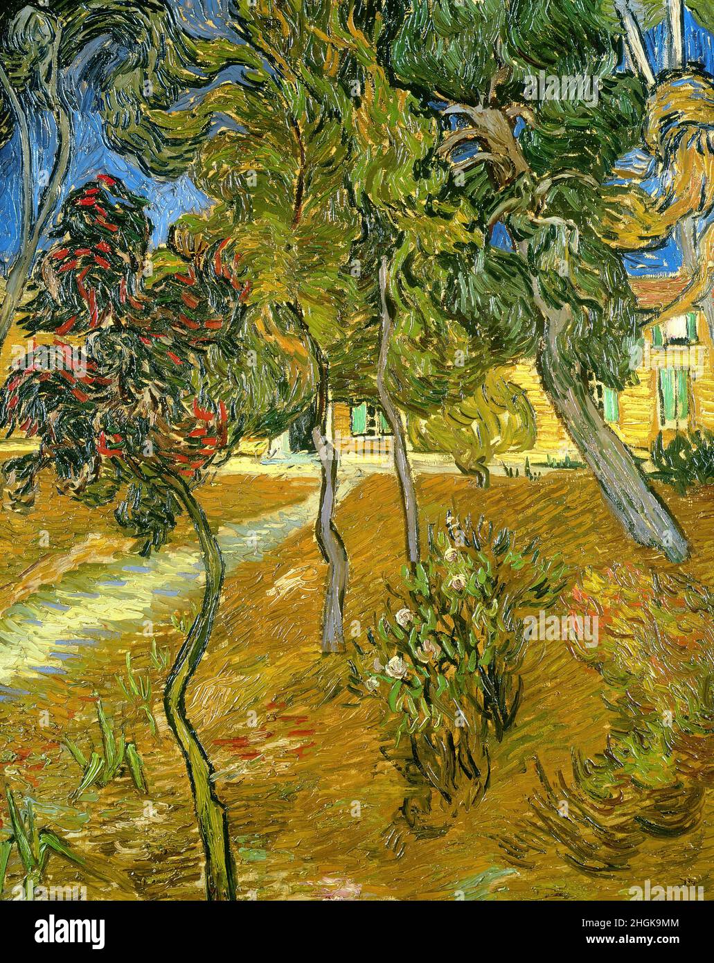 Van Gogh Vincent - Privatsammlung - Bäume im Garten der Asyl - 1889 - Öl auf Leinwand 60 x 73 cm Stockfoto