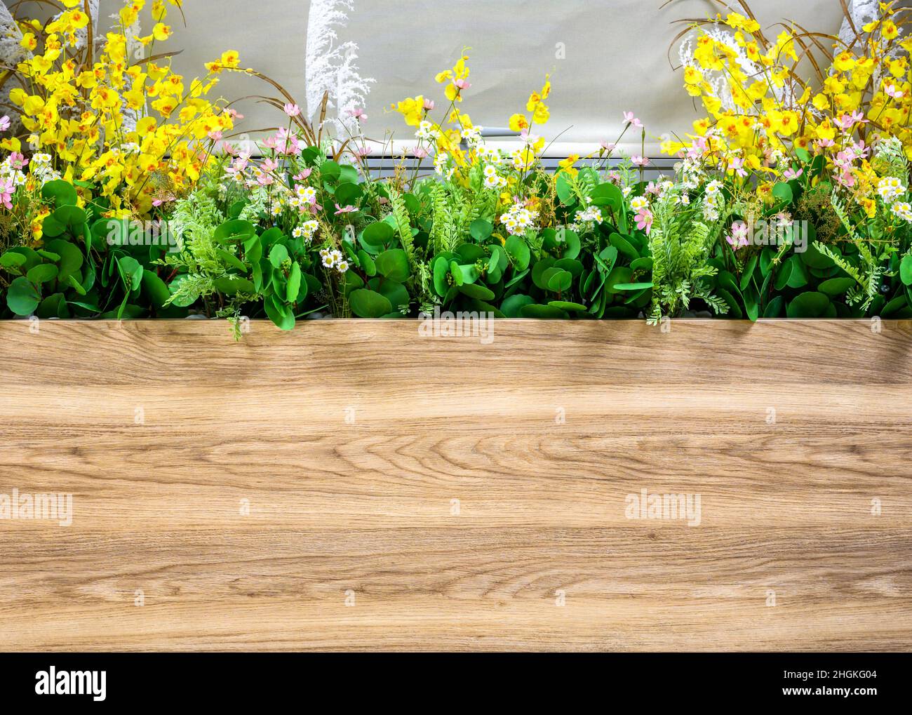 Blumentopf am Fenster im Haus- oder Büroinnenraum, Öko-Design mit grünen Pflanzen. Langer enger Blumentopf mit Holzplatte, Wand, Platz für Ihren Text. Kontra Stockfoto
