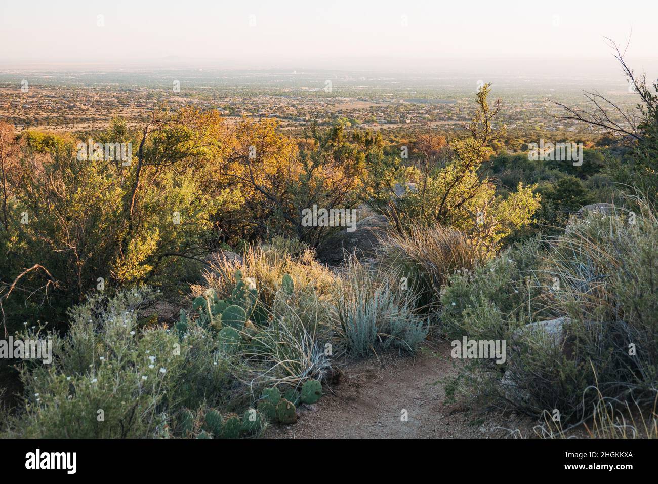 Ein Wanderweg durch die Wildnis der Sandia Mountains, wobei die Stadt Albuquerque im Hintergrund nur schwach zu sehen ist Stockfoto