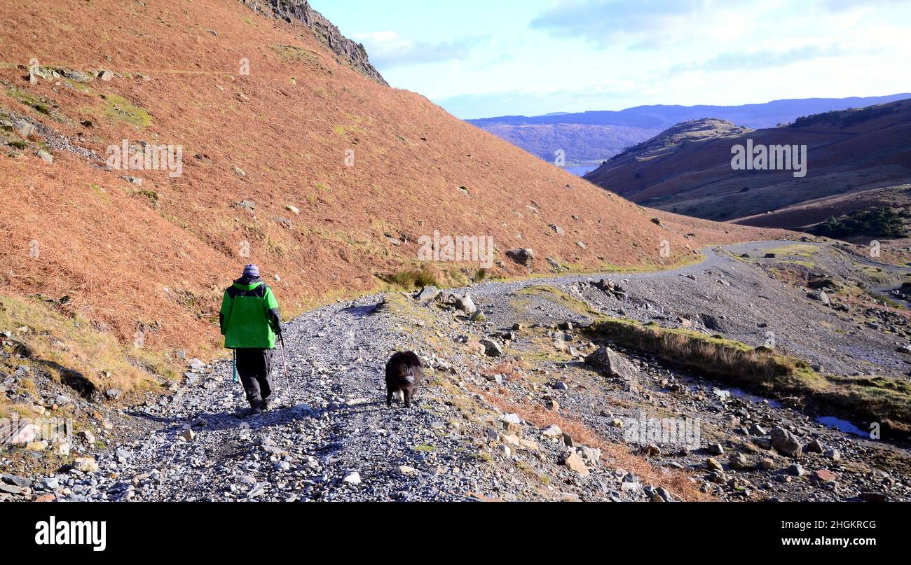 Ein Mann mit einem Hund geht einen Pfad des Berges hinunter im Tal der Coniston Copper Mines, Lake District or Lakes, Cumbria, England, Vereinigtes Königreich. Stockfoto