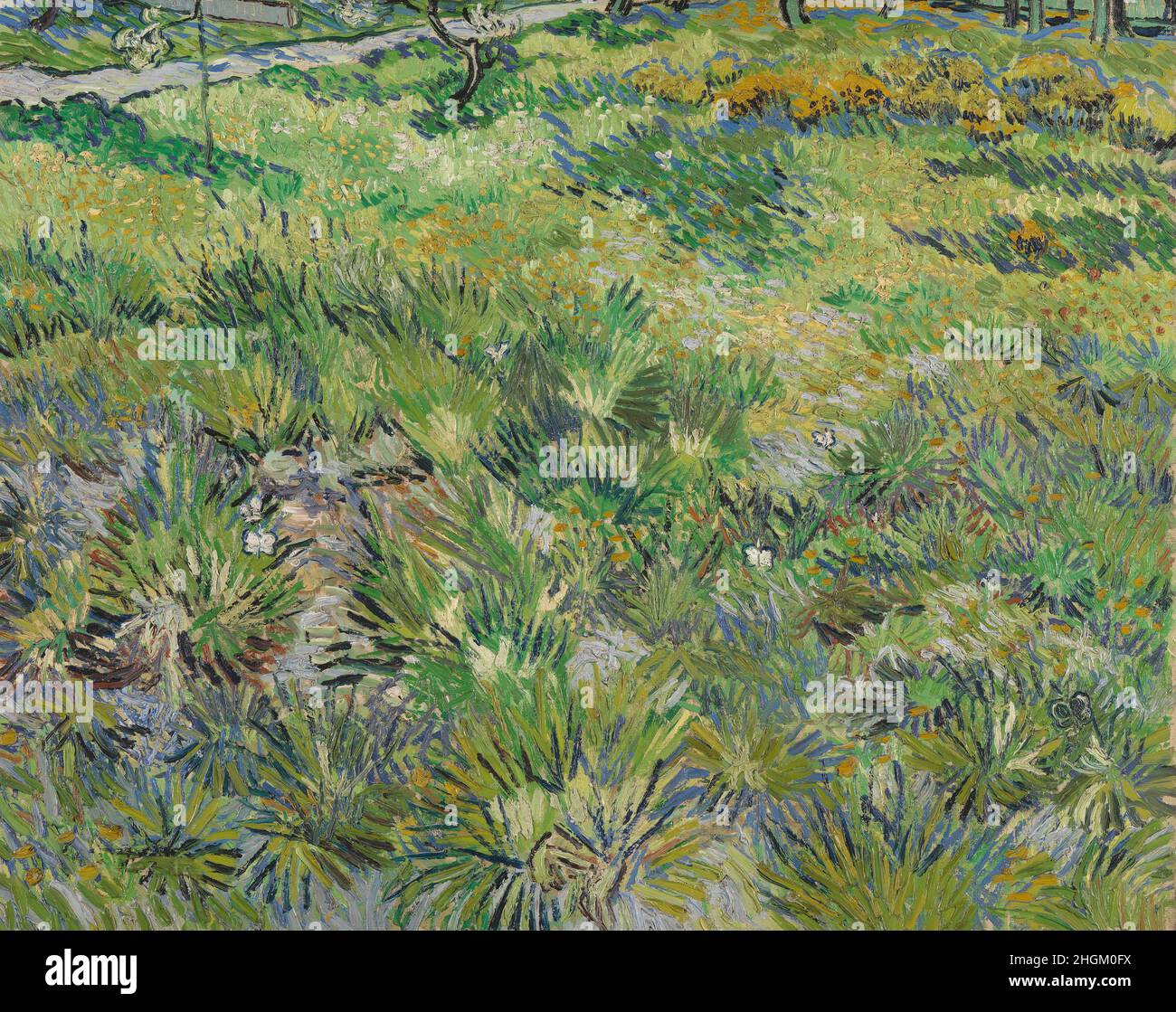 Langes Gras mit Schmetterlingen - 1890 - Öl auf Leinwand 64,5 x 80,7 cm - vg13Van Gogh Vincent Stockfoto