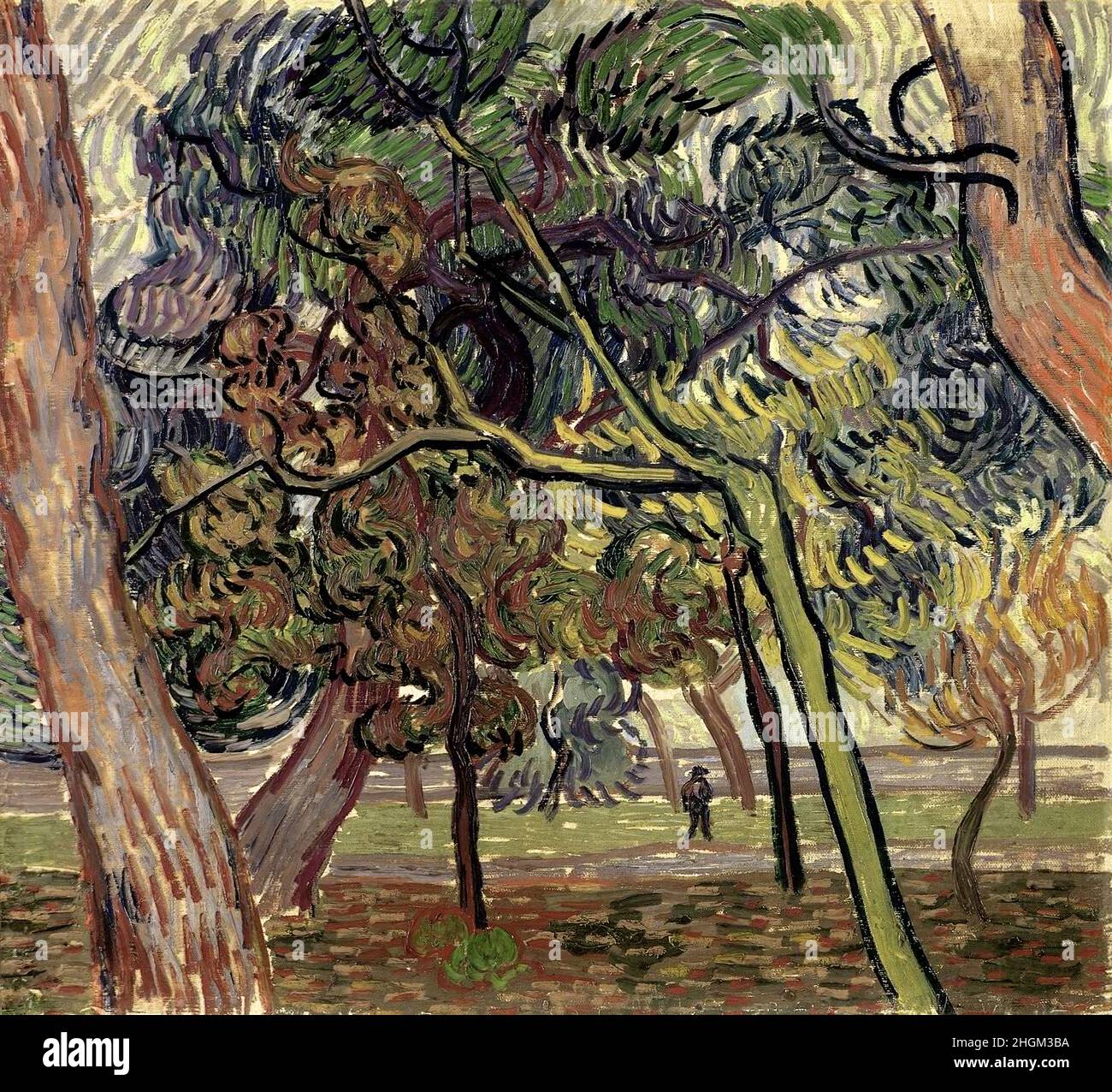 Kiefern im Garten der Asyl - 1889 - Öl auf Leinwand 46 x 51 cm - Van Gogh Vincent Stockfoto