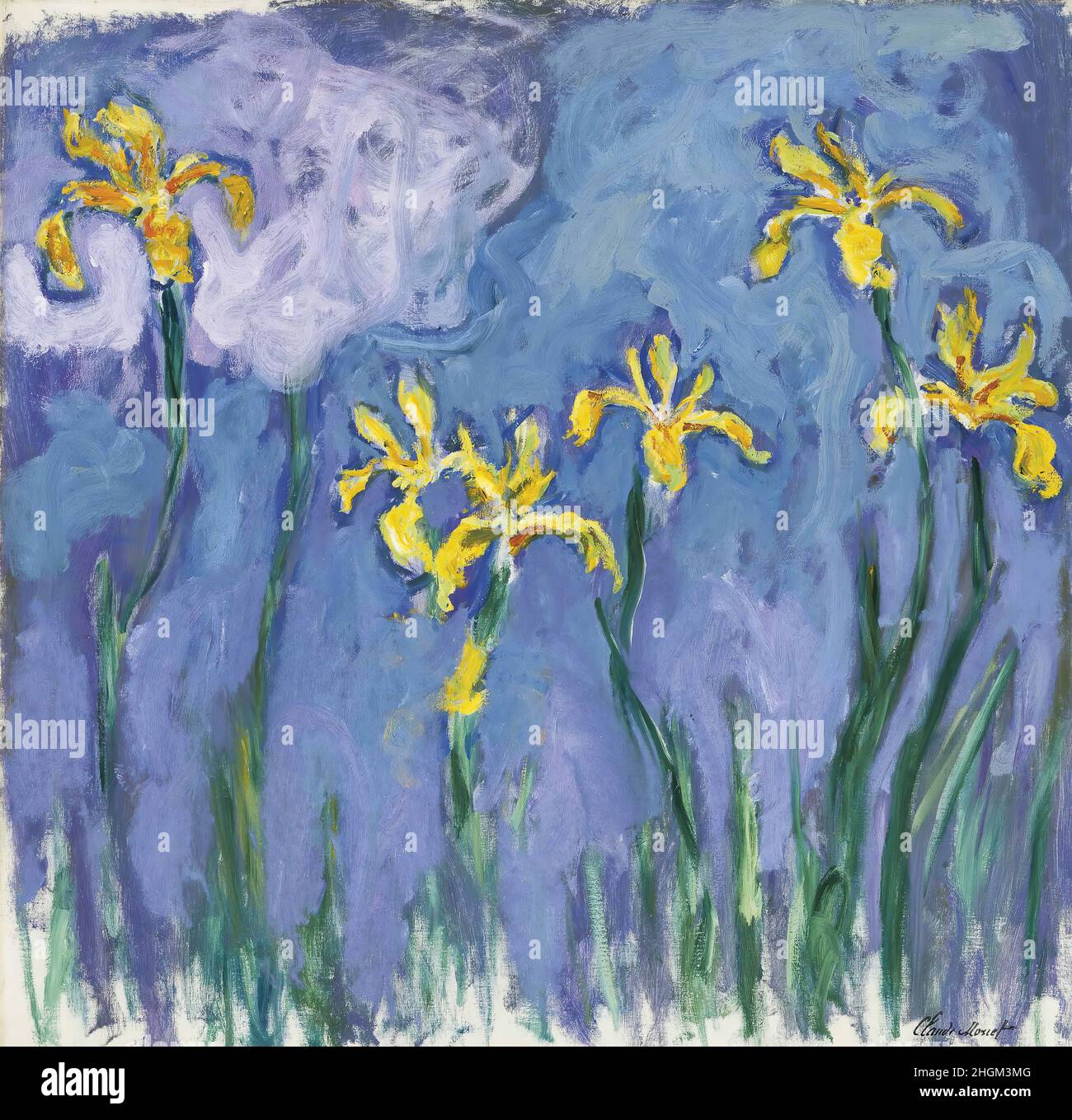 Monet Claude - Privatsammlung - Iris jaunes au nuage Rose - 1924 25 - Öl auf Leinwand 100,4 x 100,4 cm Stockfoto