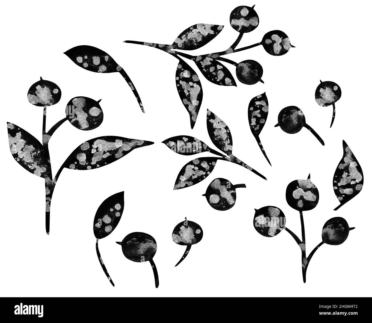 Aquarell Food Clipart - Beeren. Handgezeichnete Aquarell-Blaubeeren und Blätter isoliert auf Weiß. Ideal für Grußkarten, Postkarten, Poster, Logo, Textilien, Stoff, Verpackung, Geschenkpapier. Stockfoto