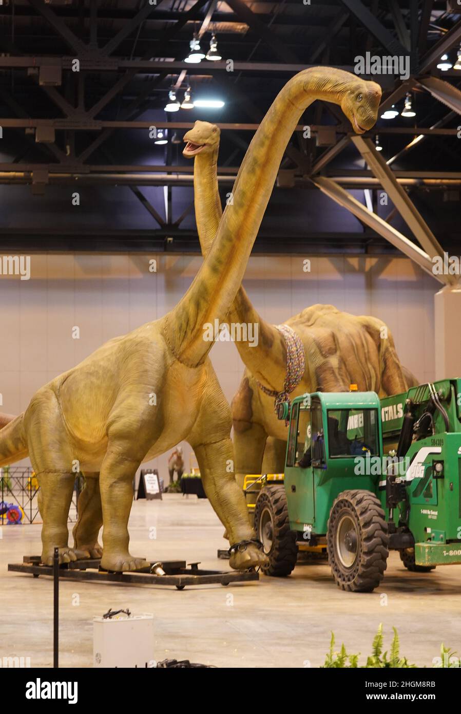 St. Louis, USA. 21st Januar 2022. Am Freitag, den 21. Januar 2022, werden große Dinosaurier beim Aufbau des Dino & Dragon Stroll im America's Center in St. Louis an ihren Platz gestoßen. Bei einem Dino- und Drachenspaziergang können Besucher lebensgroße Dinosaurier und Drachen aus der mesozoischen Ära mit prähistorischen Dinosauriern aus der Trias-, Jurazeit- und Kreidezeit hautnah erleben. Foto von Bill Greenblatt/UPI Credit: UPI/Alamy Live News Stockfoto