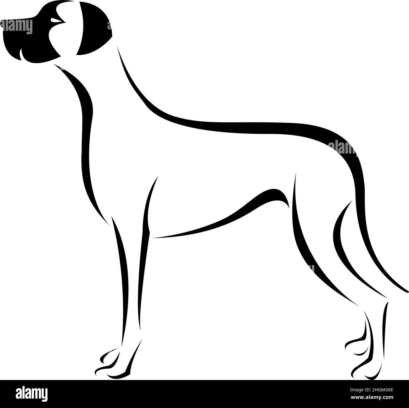 Vektor eines Hundes (Great dane) auf weißem Hintergrund. Leicht editierbare Vektorgrafik mit Ebenen. Stock Vektor