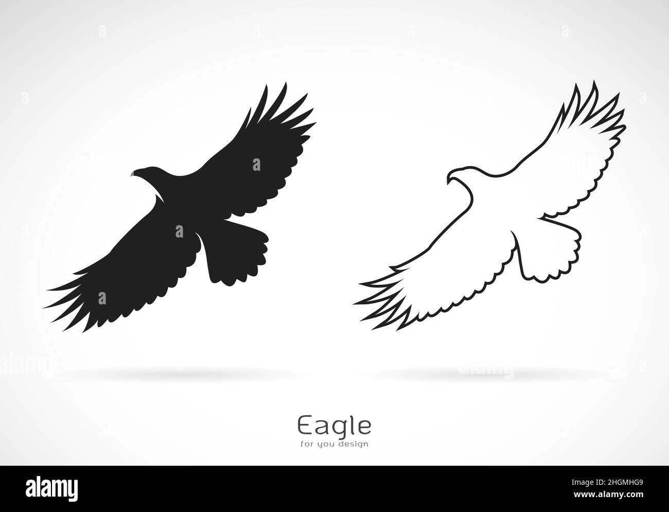 Vektor des Adlers breitet seine Flügel aus. Auf weißem Hintergrund, Wilde Tiere. Vogel. Stock Vektor