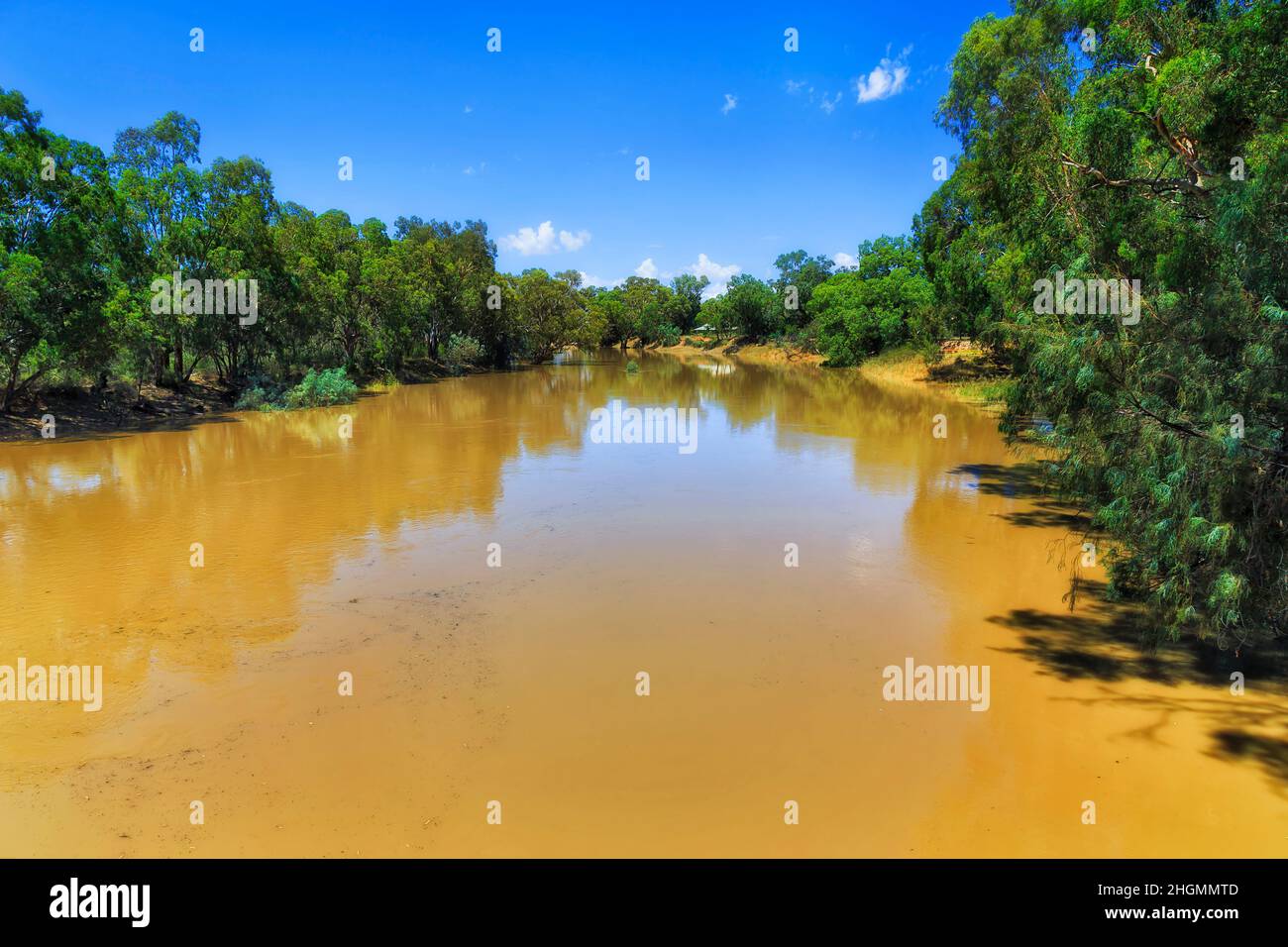 Wasserlauf des Darling River in den australischen Outback-Ebenen in der Nähe der Stadt Wilcannia in Far West. Stockfoto