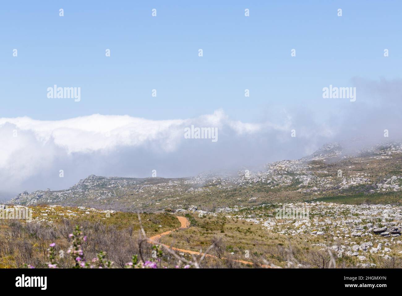 Wolken über den Fynbos im Silvermine Nture Reserve bei Kapstadt im westlichen Kap von Südafrika Stockfoto