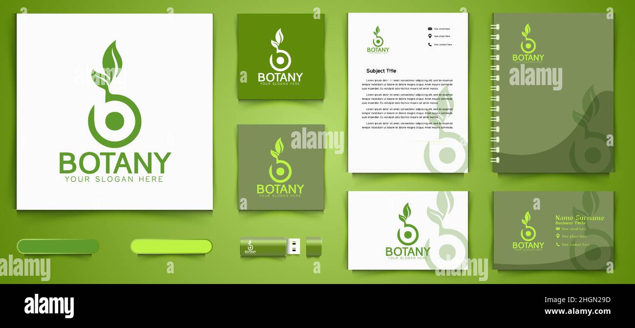 Buchstabe B Natur Blatt Logo und Business Branding Vorlage Designs Inspiration isoliert auf weißem Hintergrund Stock Vektor