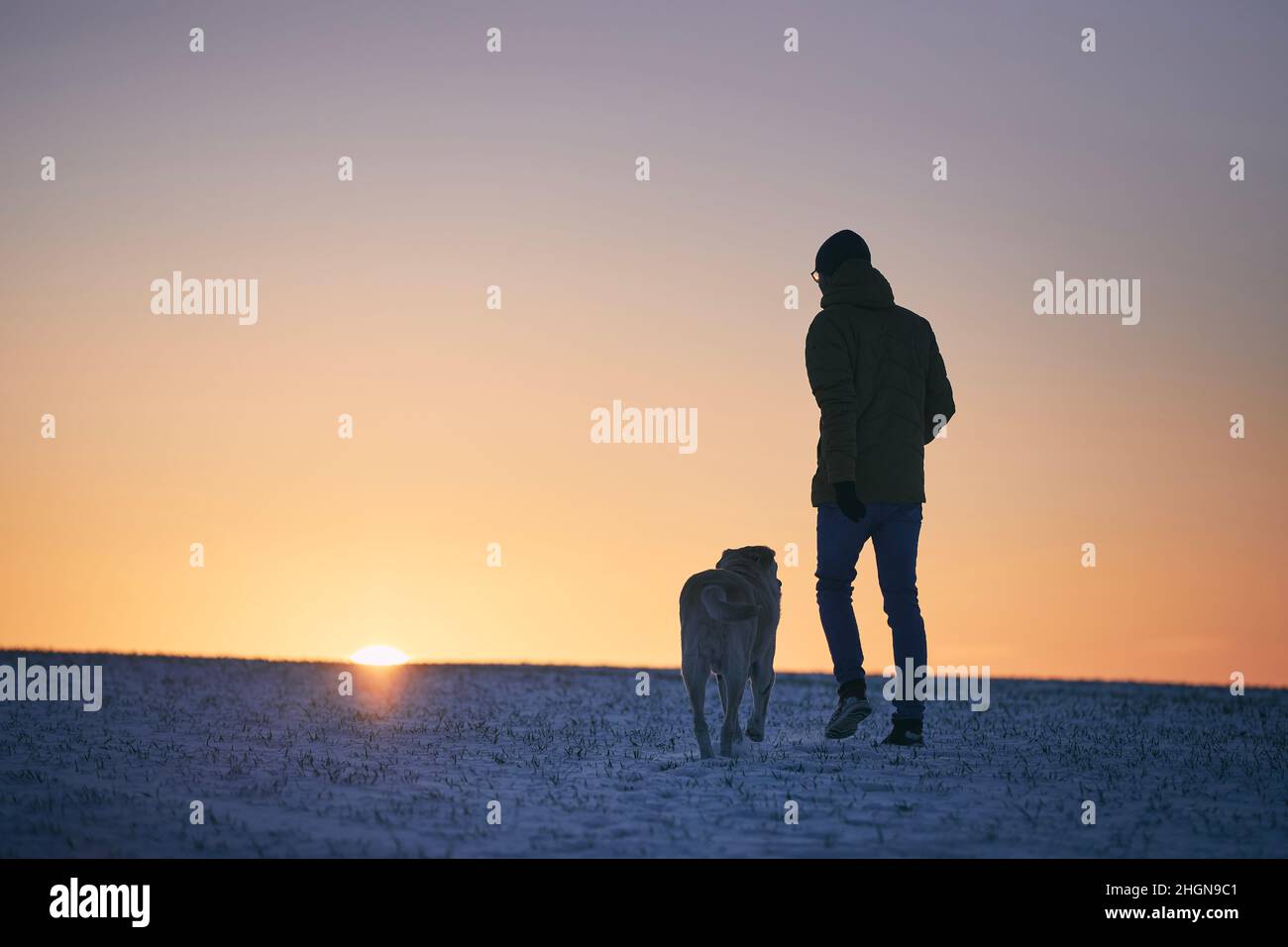 Silhouette eines Mannes mit Hund auf einer verschneiten Wiese. Tierbesitzer, der im Winter morgens mit labrador Retriever spazierengeht. Stockfoto