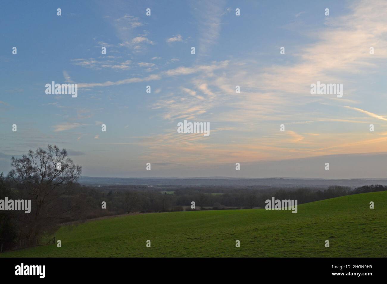 Grasfelder, Aussichten, Wolkenbank, einsame Bäume und Sonnenuntergänge zwischen IDE Hill, Scords Wood und Emmetts Garden, Kent, im Winter an klaren, knackigen Tagen. Weald Stockfoto