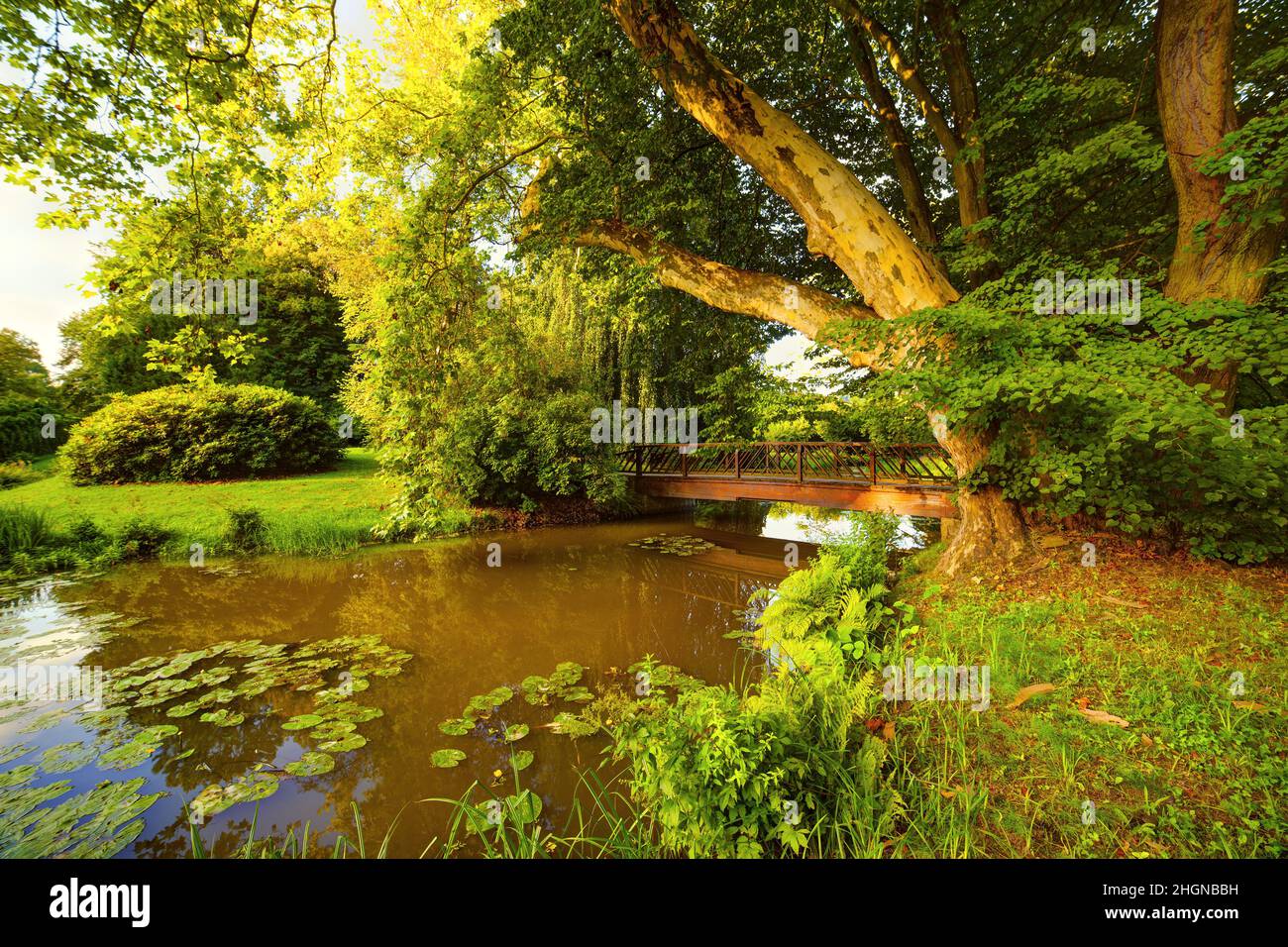 Bad Muskau - Muskau Park, Holzbrücke, Platane und Park Stockfoto