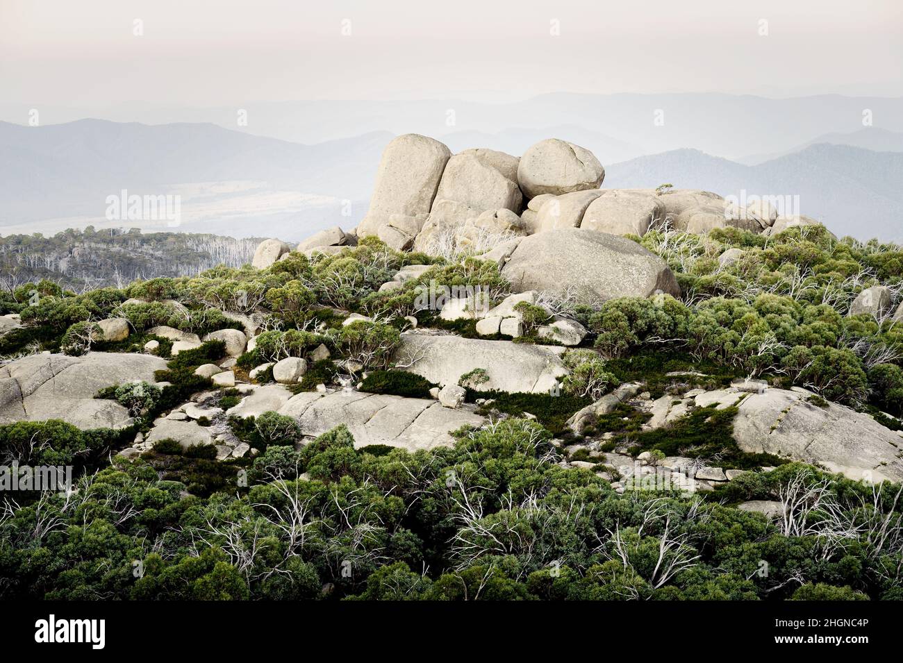 Berühmte Felsformation des Mahomets-Grabes im Mount Buffalo National Park. Stockfoto