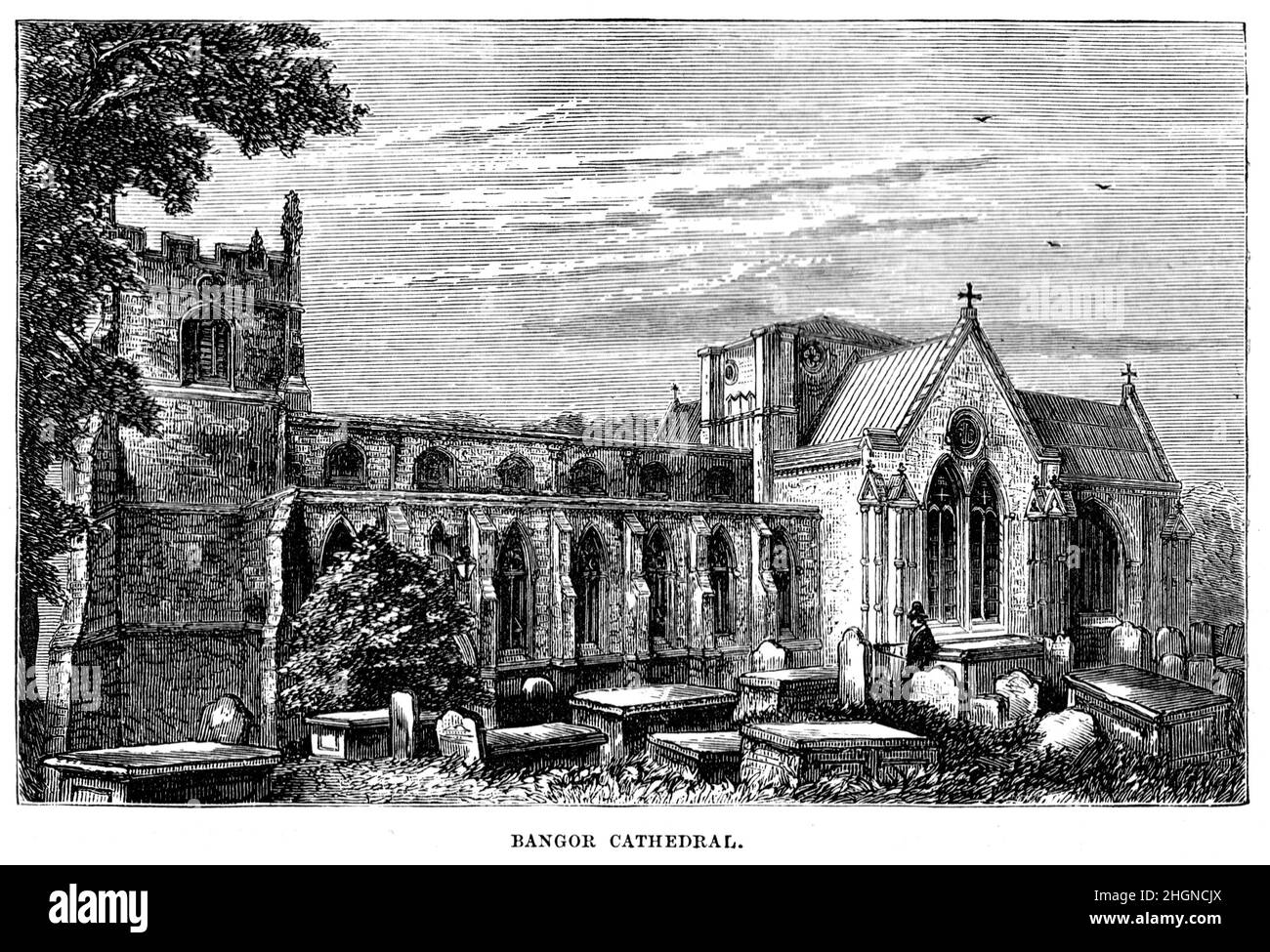 Schwarz-Weiß-Illustration; Bangor Cathedral, Wales, im 19th. Jahrhundert Stockfoto