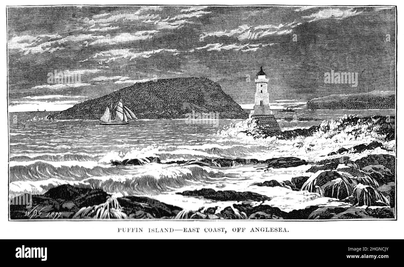 Schwarz-Weiß-Illustration; Puffin Island, Anglesea, Nordwales im 19th. Jahrhundert Stockfoto