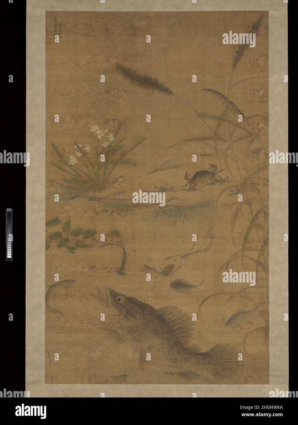 Blumen, Fische und Krabben Mitte des 16th. Jahrhunderts Liu Jie Chinesisch Dieses Gemälde des Hofmeisters Liu Jie stellt einen großen Barsch vielen kleineren Fischen und einer Vielzahl von Flora und Fauna gegenüber, darunter Narzisse in Blüte, Seerosen, Gräser, Getreide, eine Krabbe, Und Frösche. Der Effekt ist eine zivilisierte Ruhe, in der der große Fisch, der eine Person von offensichtlicher Statur symbolisiert, ruhig entlang eines friedlichen Flussufers schwimmt. Sowohl Fisch als auch Getreide symbolisieren Reichtum, und die Gesamtwirkung des Bildes deutet auf Fülle und Belohnung hin. Einige Bildelemente – Barsch, Körnung und Krabbe – erzeugen auch ein visuelles wortspiel wi Stockfoto