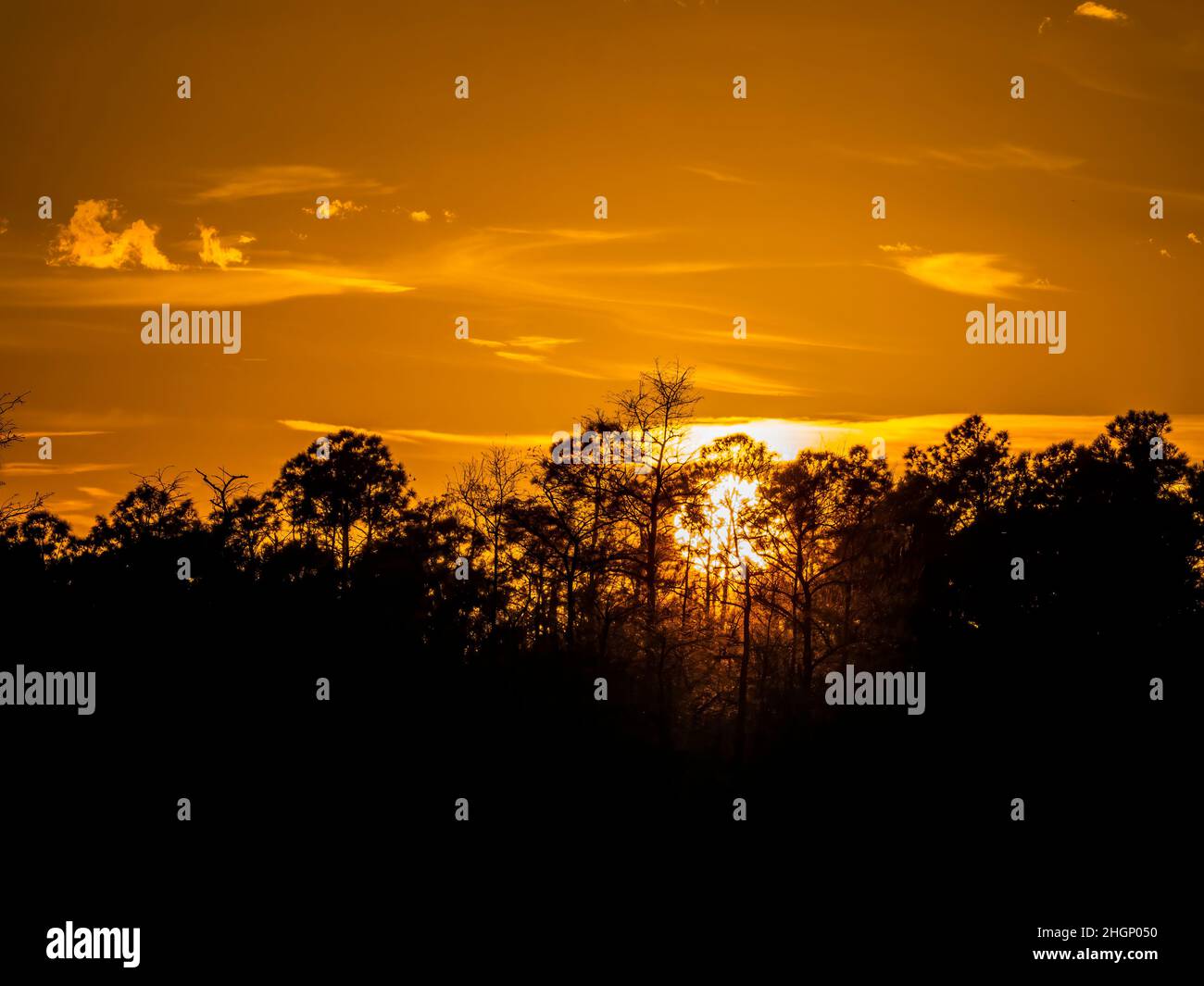 Sonnenuntergang im Kirby Shorter Roadside Park im Big Cypress National Preserve in Florida USA Stockfoto