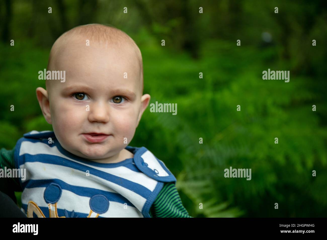 Kaukasischer Baby-Kopfschuss mit Wald im Hintergrund Stockfoto