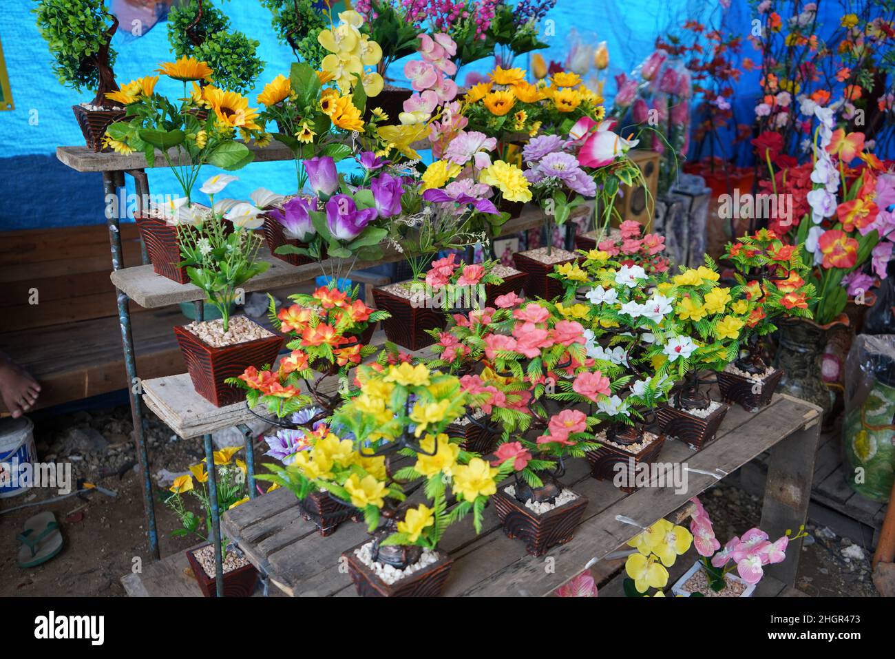 Vertikale Gärten oder oft als grüne Wände, lebende Wände, Biowände oder Eowalls bezeichnete Gärten sind eine Methode zum Anbau von Pflanzen auf engem und begrenztem Land. Stockfoto