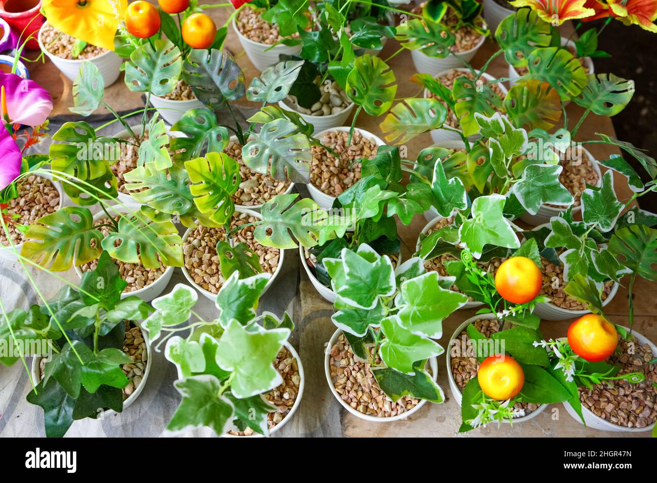 Vertikale Gärten oder oft als grüne Wände, lebende Wände, Biowände oder Eowalls bezeichnete Gärten sind eine Methode zum Anbau von Pflanzen auf engem und begrenztem Land. Stockfoto