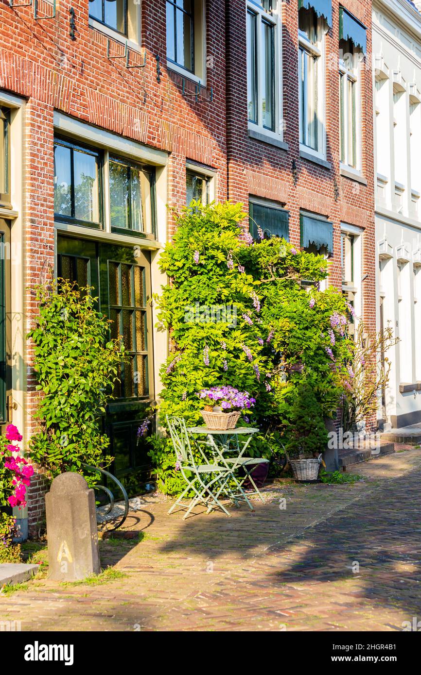 Urbane Begrünung mit vielen Pflanzen und Blumen auf der Straße in Alkmaar in Nord-Holland in den Netehrlands Stockfoto