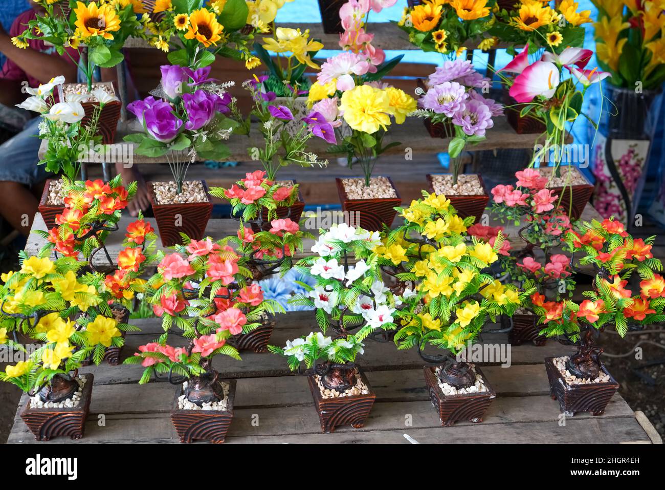 Vertikale Gärten oder oft als grüne Wände, lebende Wände, Biowände oder Eowalls bezeichnete Gärten sind eine Methode zum Anbau von Pflanzen auf engem und begrenztem Land. Stockfoto