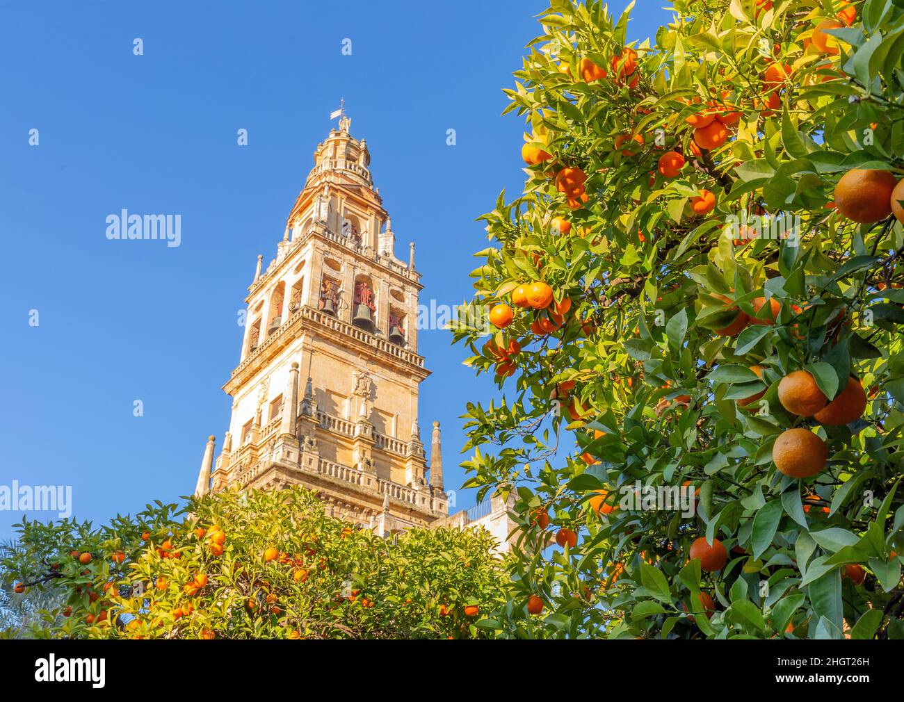 Giralda und Orangenbaumhof, Es ist der Name, der dem Glockenturm der Kathedrale Santa Maria de la Sede der Stadt Sevilla, in Andalus gegeben wird Stockfoto