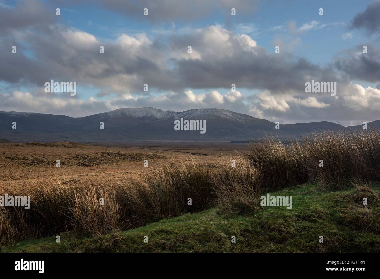 Moor am Rande des Wild Nephin National Park in Irland. Schnee auf den Bergspitzen der Wild Nephin Mountains. Stockfoto