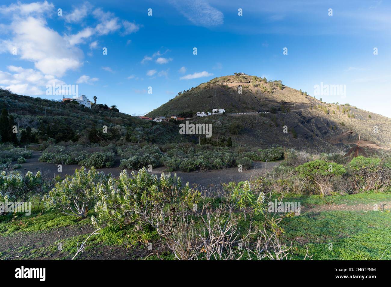 Vulkanische Caldera in Bandama. Gran Canaria. Kanarische Inseln Stockfoto