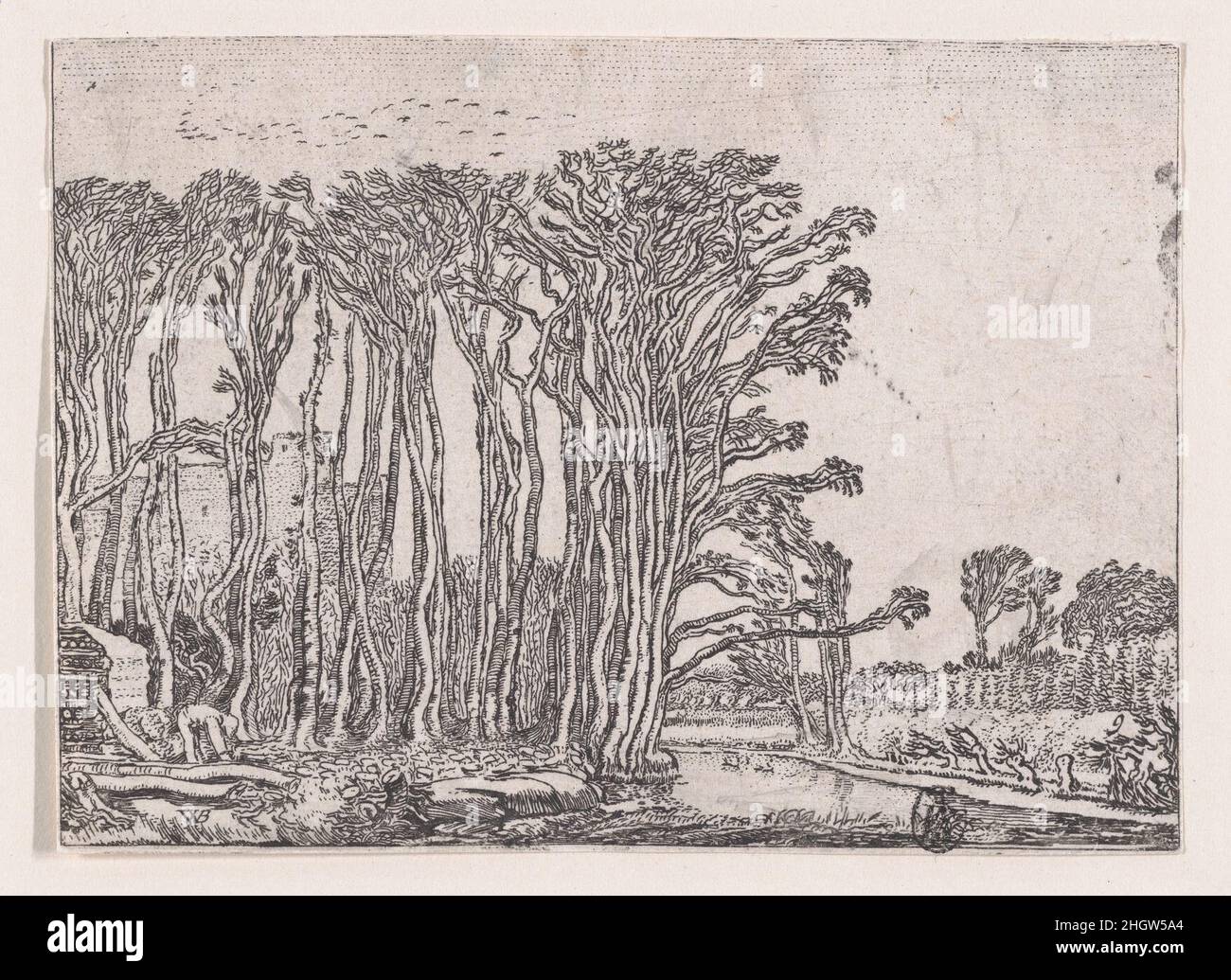 Der Kohlebrenner, aus 'Verscheyden Landtschapjes', Platte 9 ca. 1616 Willem Pietersz. Buytewech. Der Kohlebrenner, aus 'Verscheyden Landtschapjes', Platte 9. Willem Pietersz. Buytewech (Niederländisch, Rotterdam, 1591/92–1624). Ca. 1616. Radierung; Begemanns dritter Dreierzustand. Claes Jansz. Visscher (Niederländisch, Amsterdam 1586–1652 Amsterdam). Ausdrucke Stockfoto