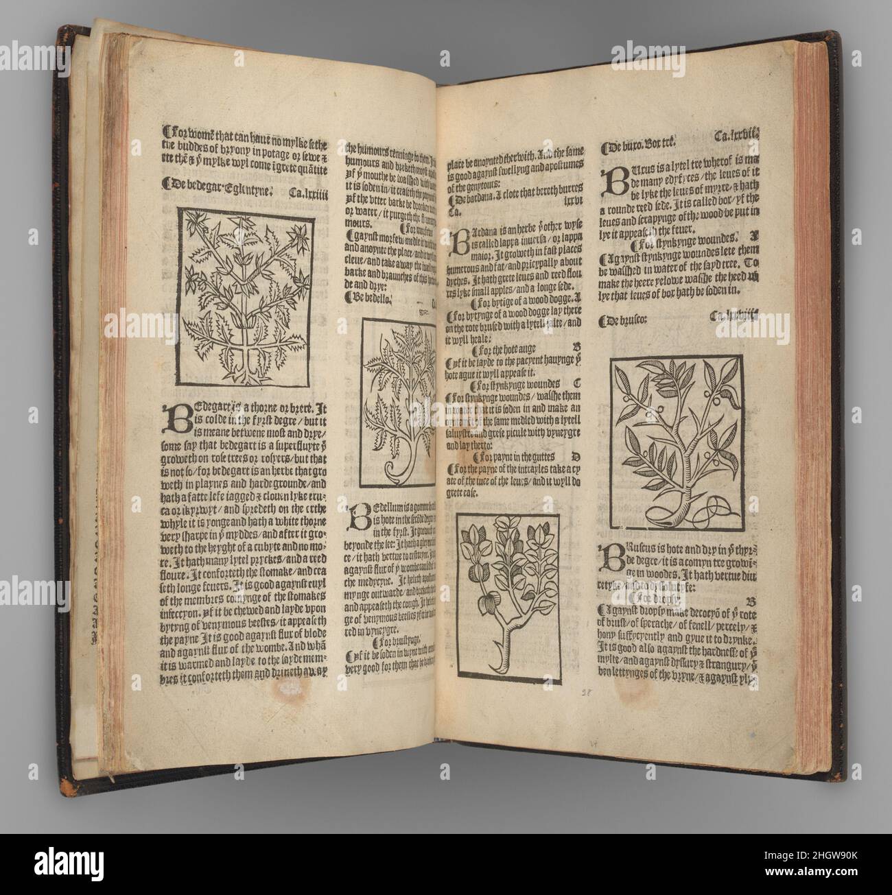 The Grete Herball 27. Juli 1526 Peter Treveris Brite. Die Grete Herball. 27. Juli 1526. Illustrationen: Holzschnitt. Bücher Stockfoto