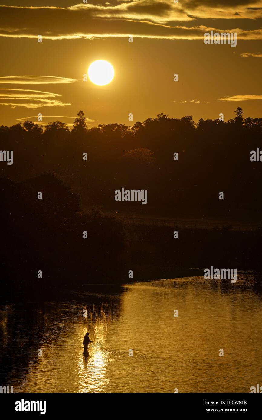 Ein Angler steht im rhe Junction Pool, wo die Flüsse Teviot und Tweed zusammenfließen, in Kelso, Schottland, wo die Sonne Anfang Juni untergeht Stockfoto