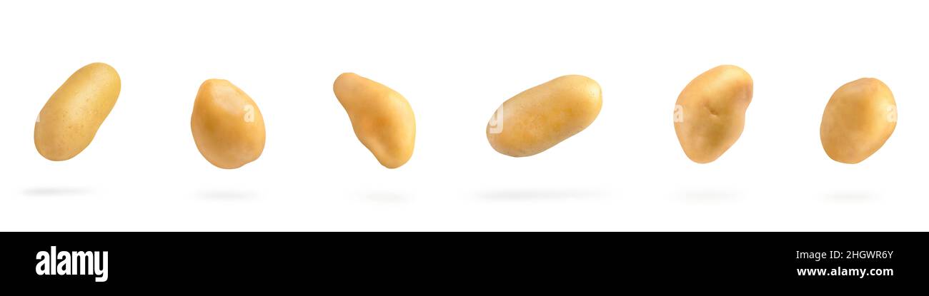 Frische ungeschälte Kartoffeln, isoliert auf weißem Hintergrund. Große, fliegende Kartoffeln auf einem weißen, isolierten Hintergrund werfen einen Schatten. Stockfoto