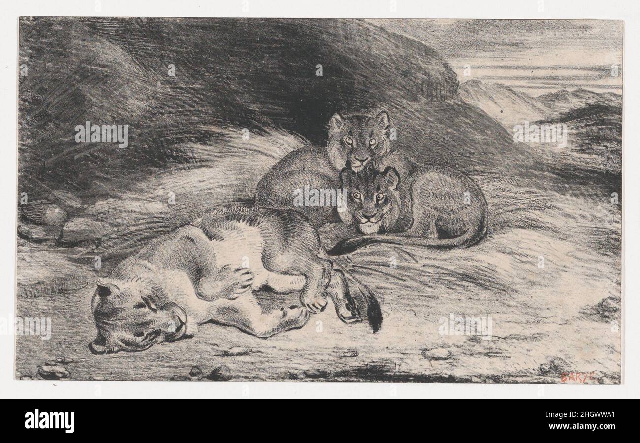 Löwin und Cubs möglicherweise 1832 Antoine-Louis Barye die Fähigkeiten von French Barye als Lithograph werden in dieser frei gezeichneten Familiengruppe unter Beweis gestellt. Die inerte Form der schlafenden Löwin steht im Gegensatz zu den großäugigen Starren ihrer wartbaren Jungen. Studien von Löwen, die der Künstler in den Zoologischen Gärten in Paris gemacht hat, untermauern die sorgfältige Verkürzung des liegenden Erwachsenen. Löwin und Jungen. Antoine-Louis Barye (Französisch, Paris 1795–1875 Paris). Möglicherweise 1832. Lithographie. Ausdrucke Stockfoto