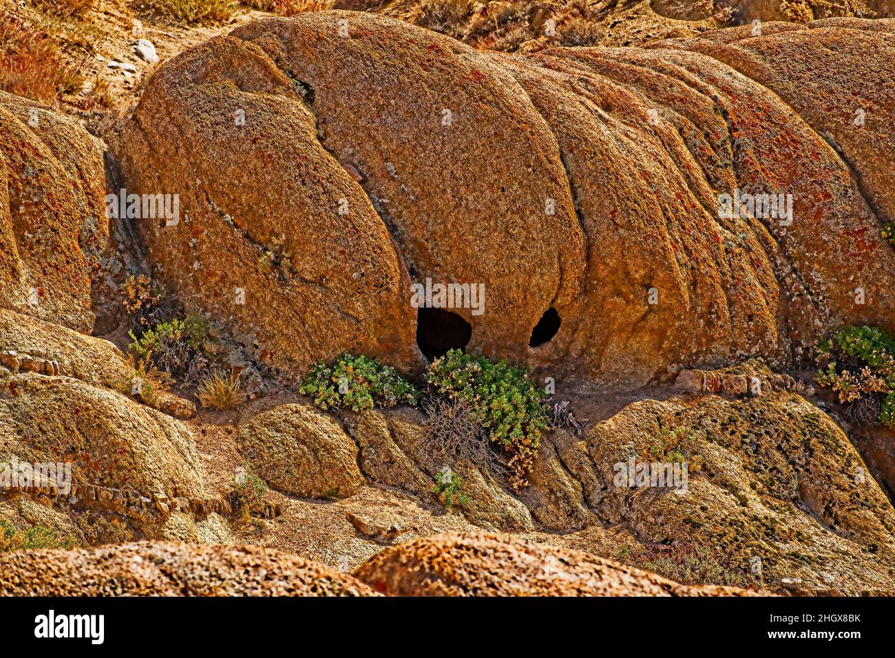 Casper, der freundliche Rock! Eine interessante Felsformation in Alabama Hills, westlich von Lone Pine, Kalifornien. Casper, der freundliche Geist! Stockfoto