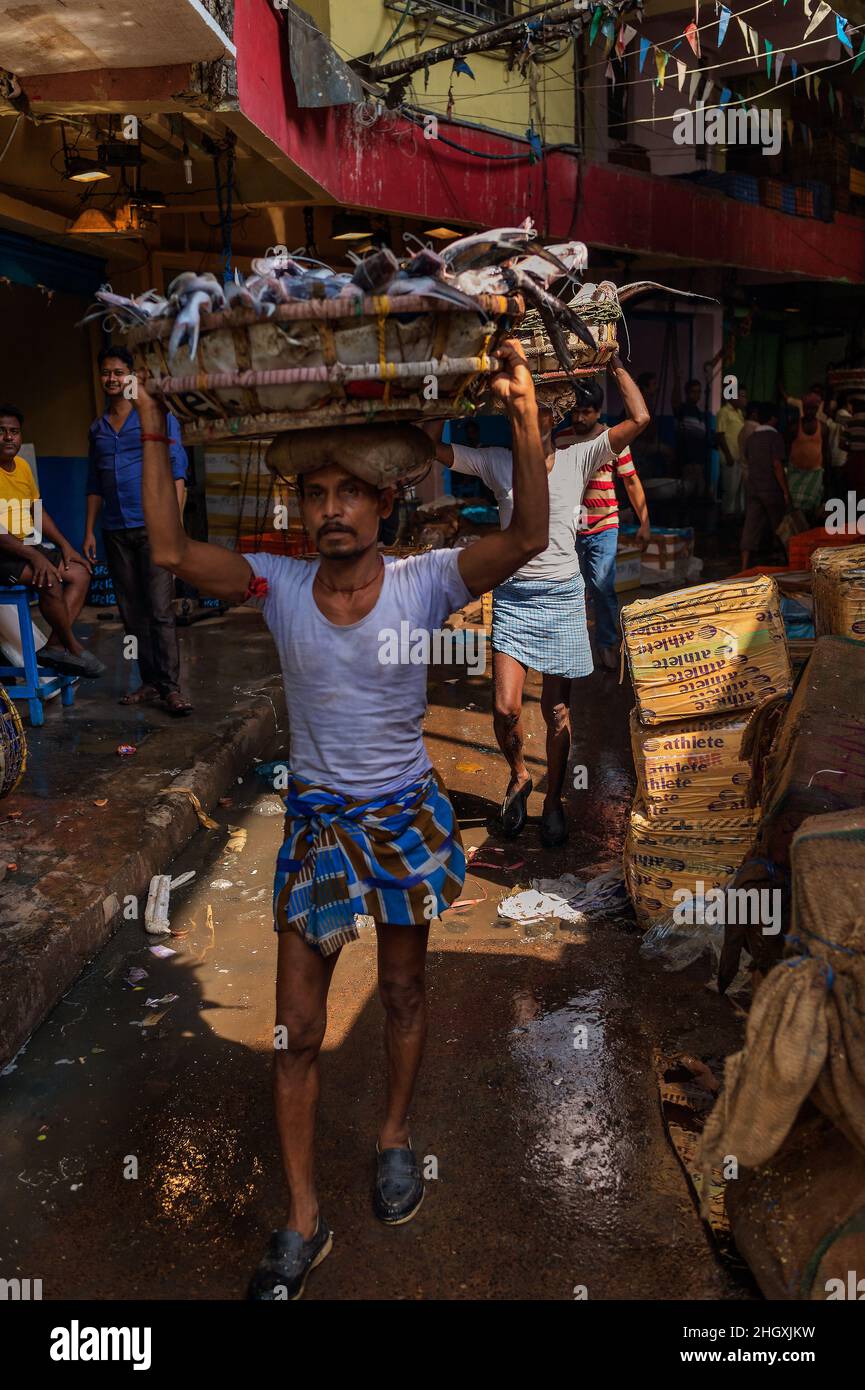 Arbeiter auf dem Fischmarkt in Kalkutta, Indien. Stockfoto