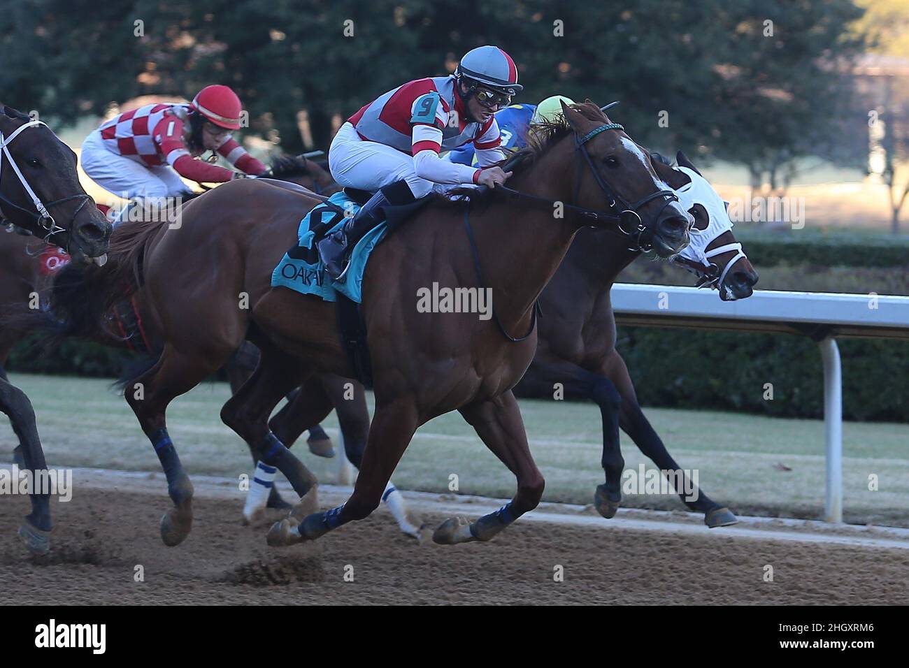 Hot Springs, Arkansas, USA. 22nd Januar 2022. 22. Januar 2022: Miss Mosaic #9, geritten von Jockey David Cabrera gewinnt am 22nd. Januar 2022 die American Beauty Stakes im Oaklawn Racing Casino Resort in Hot Springs, Arkansas. Justin Manning/Eclipse Sportswire/CSM/Alamy Live News Stockfoto