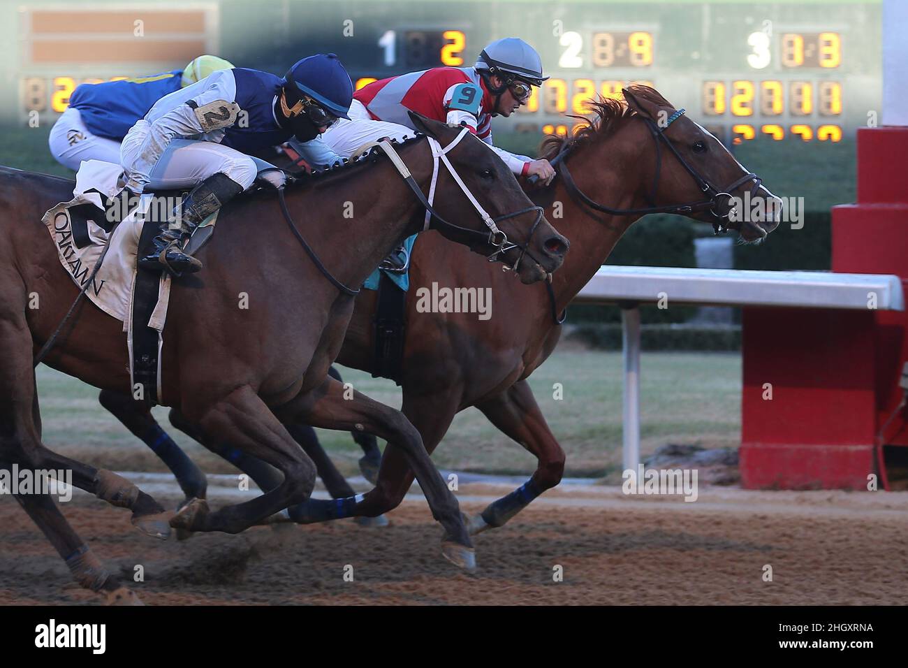 Hot Springs, Arkansas, USA. 22nd Januar 2022. 22. Januar 2022: Miss Mosaic #9, geritten von Jockey David Cabrera gewinnt am 22nd. Januar 2022 die American Beauty Stakes im Oaklawn Racing Casino Resort in Hot Springs, Arkansas. Justin Manning/Eclipse Sportswire/CSM/Alamy Live News Stockfoto
