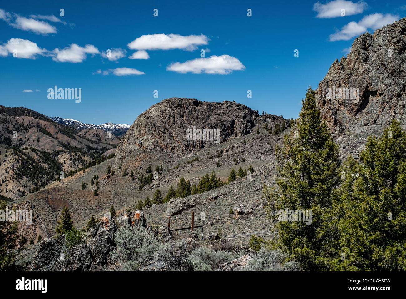 Suzuki Quad auf Trail Stockfoto