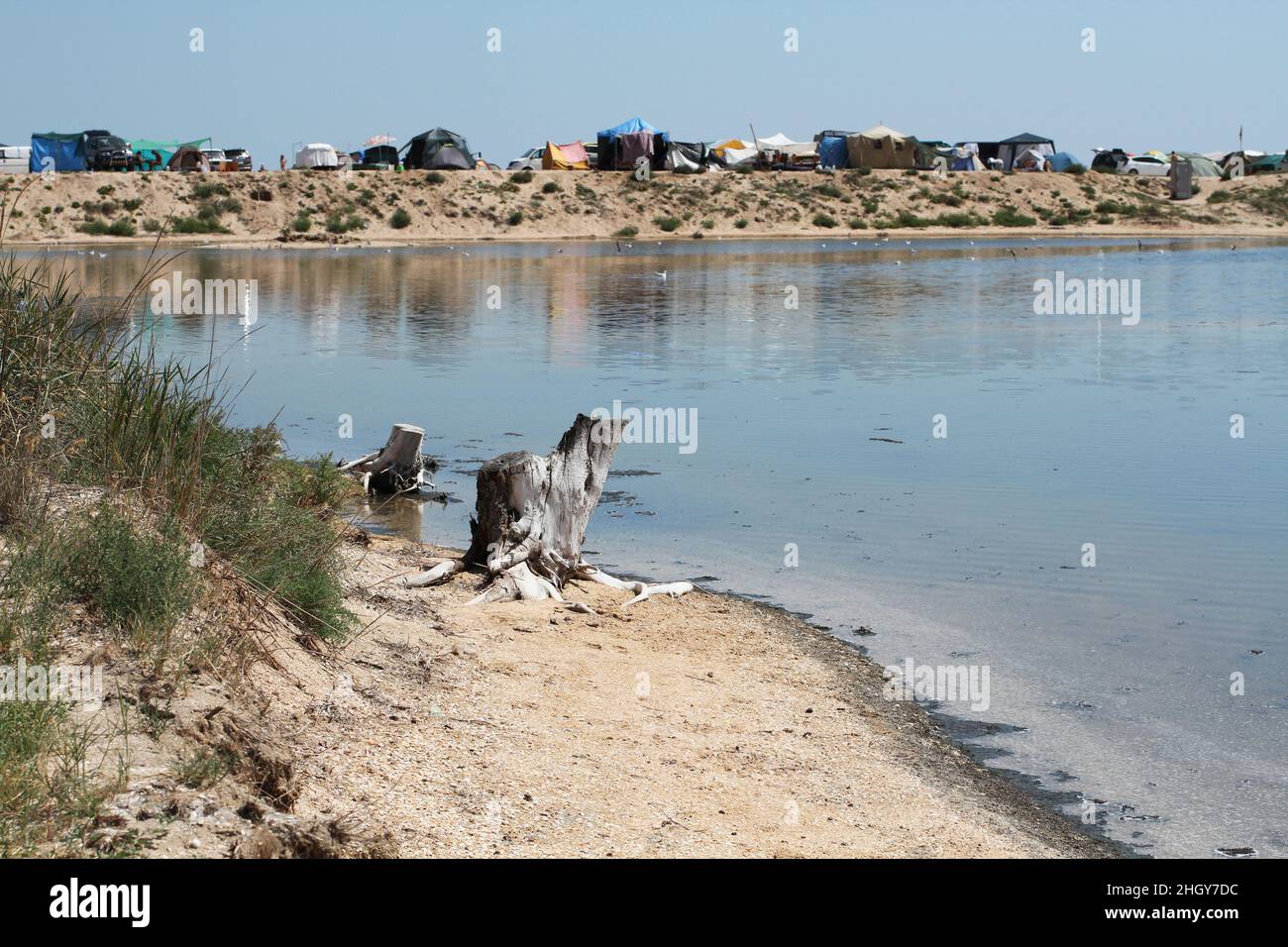 Unbereinigtes Gebiet von der Rückseite des Campingplatzes an der Küste der Arabat Spit in der Asowschen See. August 2018. Stockfoto