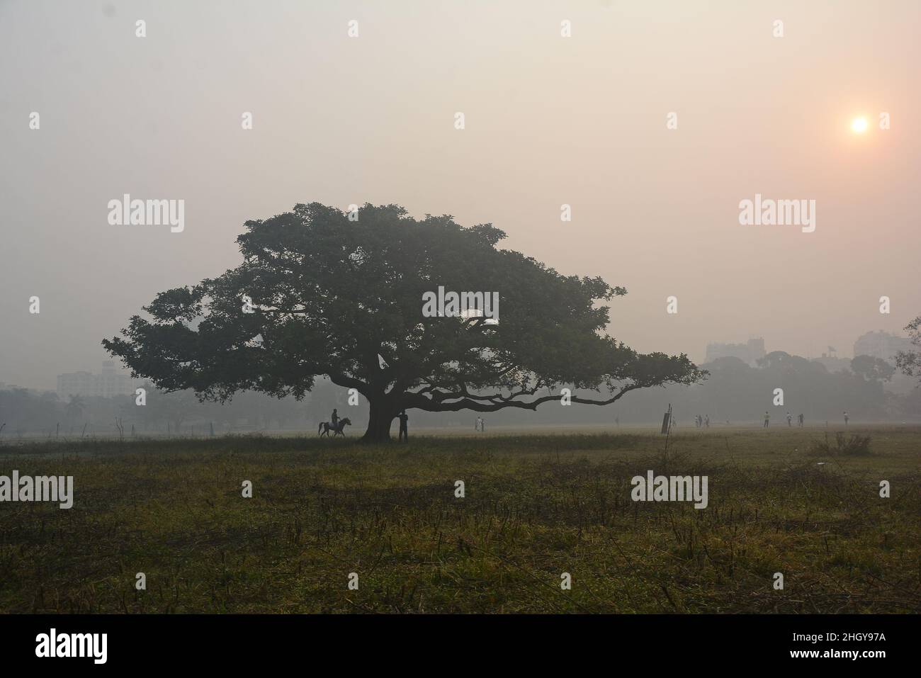 Kalkutta, Westbengalen, Indien. 21st Januar 2022. In den frühen Morgenstunden wird in Kalkutta dichter Nebel beobachtet. (Bild: © Rahul Sadhukhan/Pacific Press via ZUMA Press Wire) Stockfoto