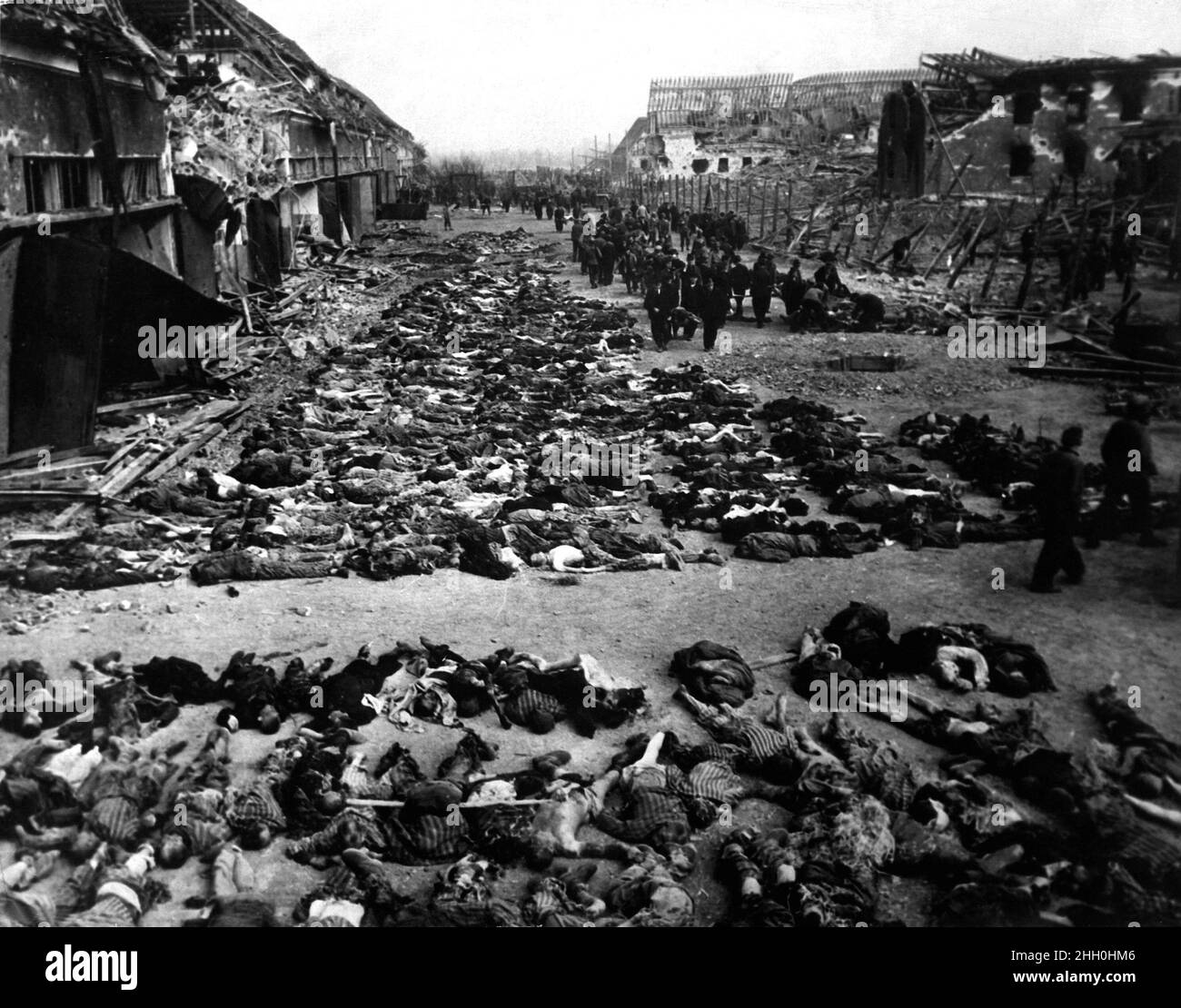 Reihen von Leichen toter Häftlinge füllen den Hof des Lagers Nordhausen, eines Konzentrationslagers der Gestapo. Dieses Foto zeigt weniger als die Hälfte der Leichen der mehrere hundert Häftlinge, die an Hunger starben oder von Gestapo-Männern angeschossen wurden. Deutschland, 12. April 1945. Stockfoto