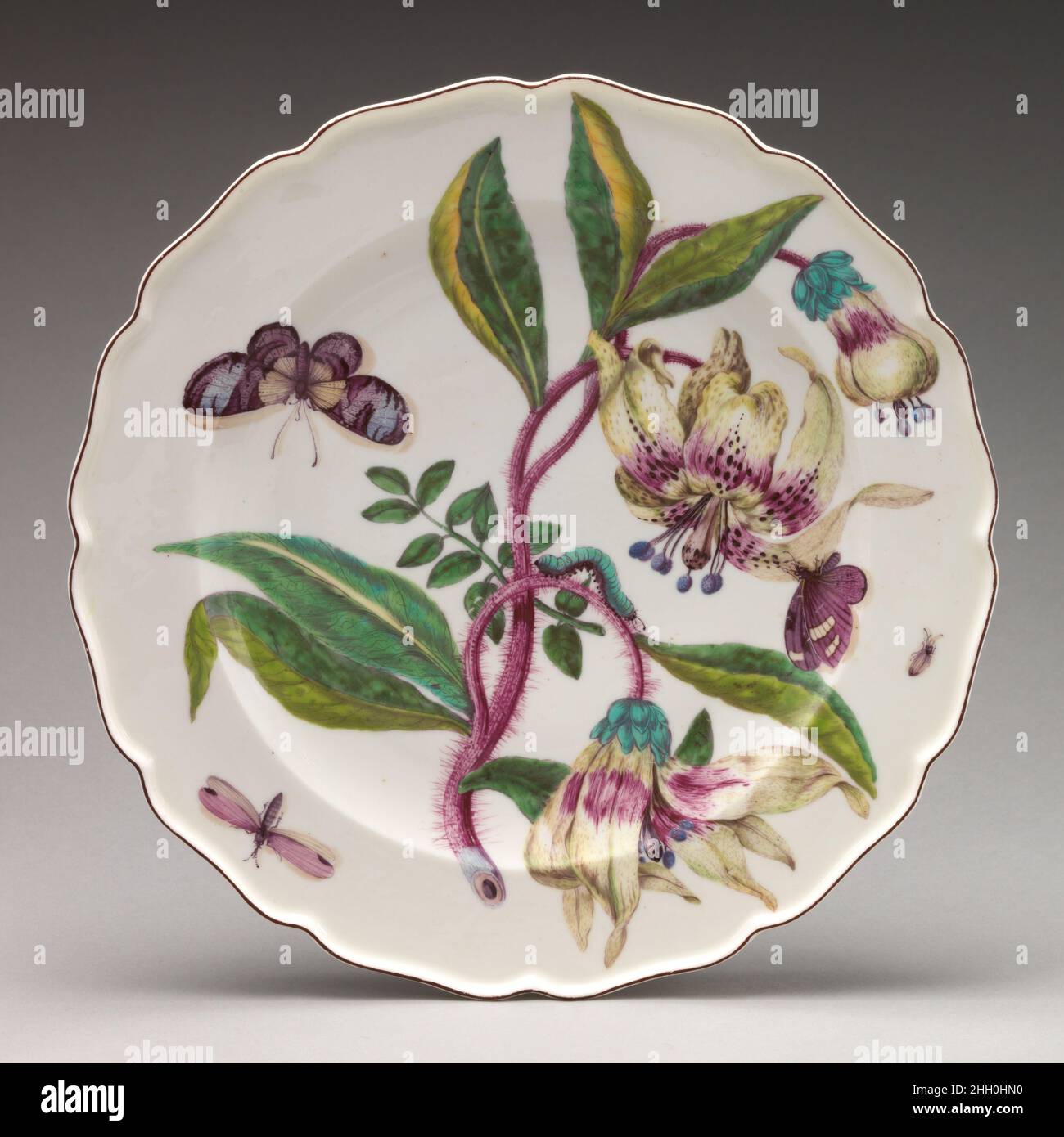 Botanischer Teller mit Lilien-Spray ca. 1755 Chelsea Porzellan Manufaktur Anfang 1750s begann die Chelsea Fabrik, botanische Drucke als Quellen für ihre gemalte Dekoration zu suchen. Die Pflanzen, Blumen, Früchte und Gemüse, die ausgewählt wurden, um viele der Waren der Fabrik über einen Zeitraum von etwa fünf Jahren ab 1752 zu schmücken, stellen eine der bekanntesten und beliebtesten Dekorationsarten dar, die in Chelsea während der Geschichte der Fabrik eingesetzt wurden. Andere Porzellanfabriken, vor allem Meißen, hatten vor ihrem Erscheinen in Chelsea botanische Dekoration praktiziert, aber die Chelsea-Maler Stockfoto