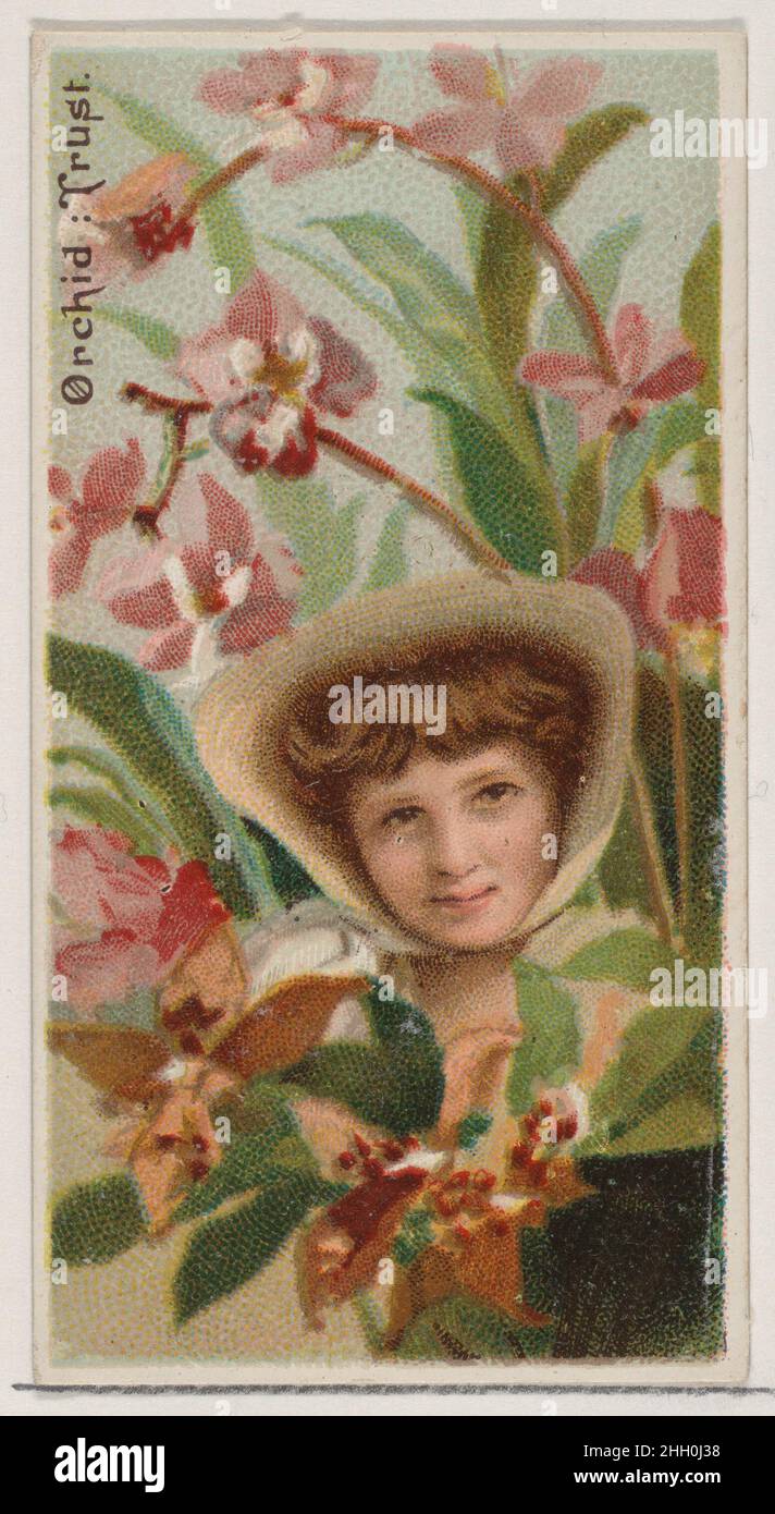 Orchid: Trust, aus der Serie Floral Beauties and Language of Flowers (N75) für Zigaretten der Marke Duke 1892, herausgegeben von der Zigarettenabteilung der American Tobacco Company, Handelskarten aus der Serie „Floral Beauties and Language of Flowers“ (N75), Im Jahr 1892 in einem Satz von 50 Karten ausgegeben, um die W. Duke Sons & Co.-Niederlassung der American Tobacco Company zu fördern. Orchid: Trust, aus der Serie Floral Beauties and Language of Flowers (N75) für Zigaretten der Marke Duke. 1892. Kommerzielle Farblithographie. Herausgegeben von der Duke Zigarettenabteilung der American Tobacco Company Stockfoto