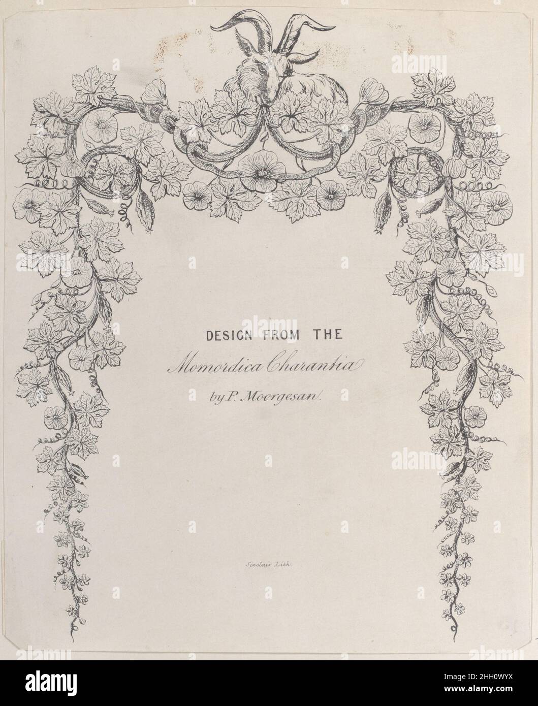 Design aus der Momordica Charantia von P. Moorgesan 19th Century Anonymous, British, 19th Century Dieses Objekt ist in einem Album mit britischen Visitenkarten aus den Sammlungen von Bella C. Landauer, Ambrose Heal und anderen untergebracht. Der Begriff „Handelskarte“ stammt aus dem 19. Jahrhundert und bezieht sich auf eine Karte, die die Dienstleistungen einer Person oder eines Unternehmens bewirbt. Handelskarten des 18. Jahrhunderts wurden oft auf dünnen Blättern gedruckt und als „Handelskarten“, „Handelsrechnungen“ oder „Ladenrechnungen“ bezeichnet. Während der viktorianischen Zeit wurden die Visitenkarten oft auf der Pasteboard und clos verstärkt Stockfoto